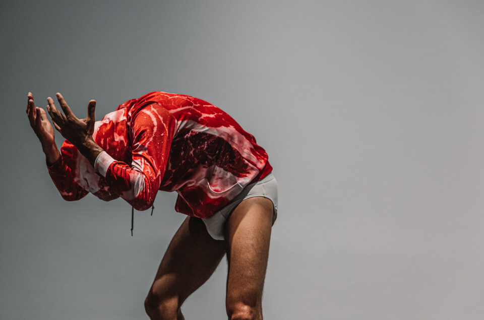 METAMORPHOSIS-BLATTA