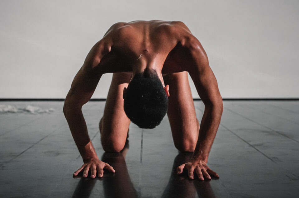 METAMORPHOSIS-SAPIENS