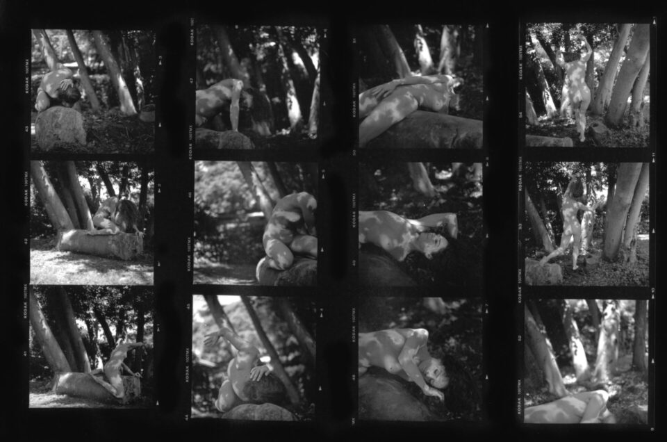 Scrivere il corpo, dire la danza