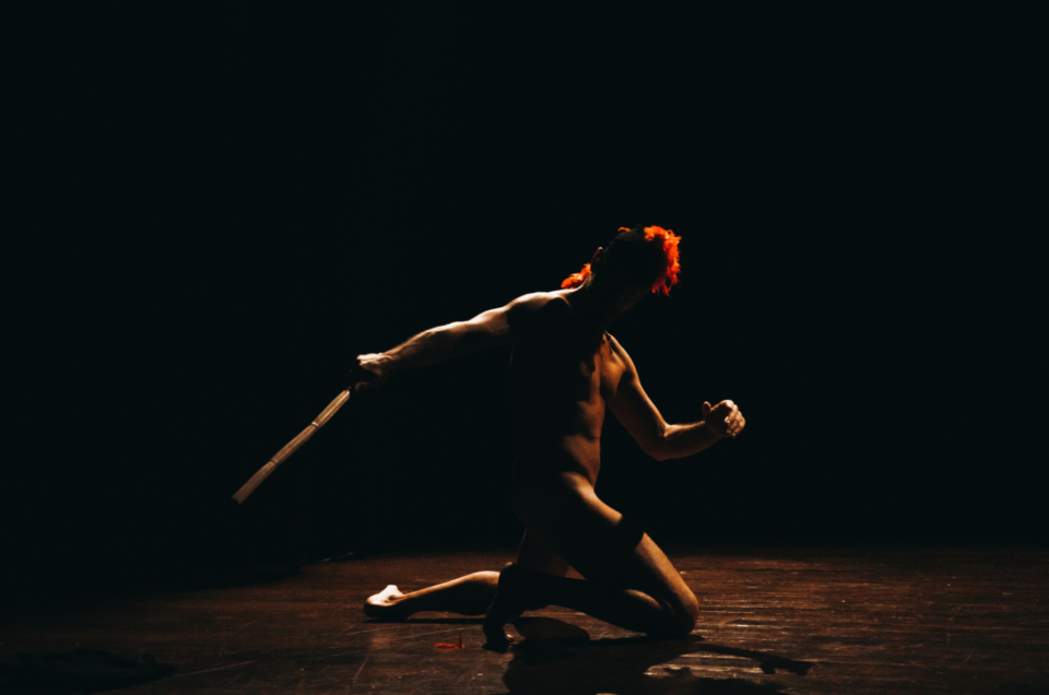 I PUPI<br>(Le donne, i cavallier, l’arme, gli amori…)