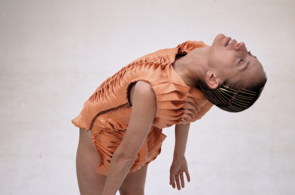 Crangon Crangon Eyes