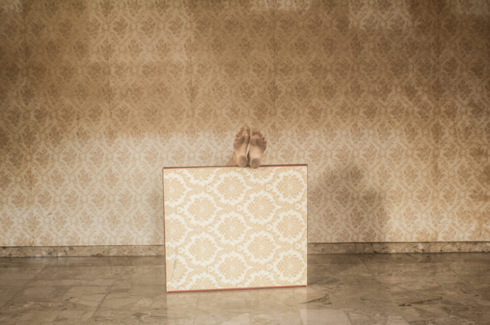 LA LORO PRESENTE ASSENZA<br>Appunti per Vana gloria