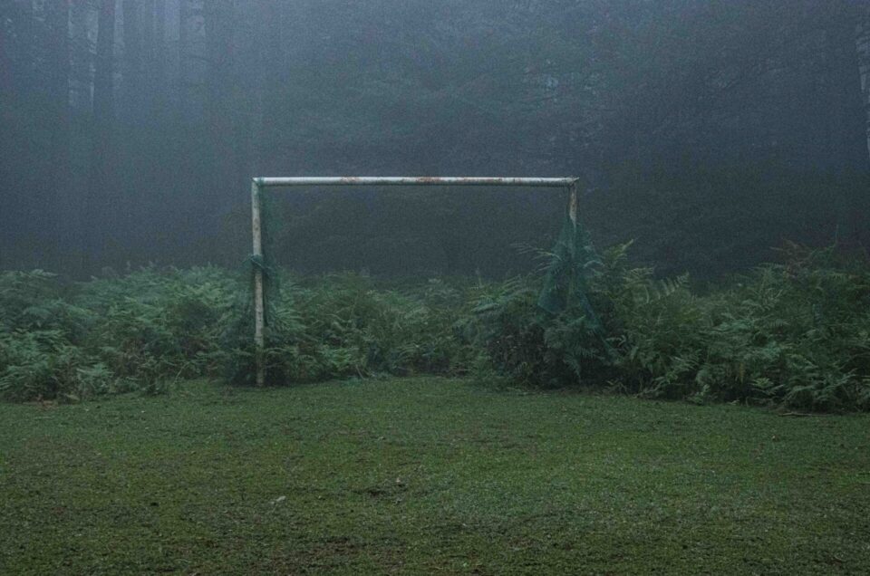 Sogno più non ricordo